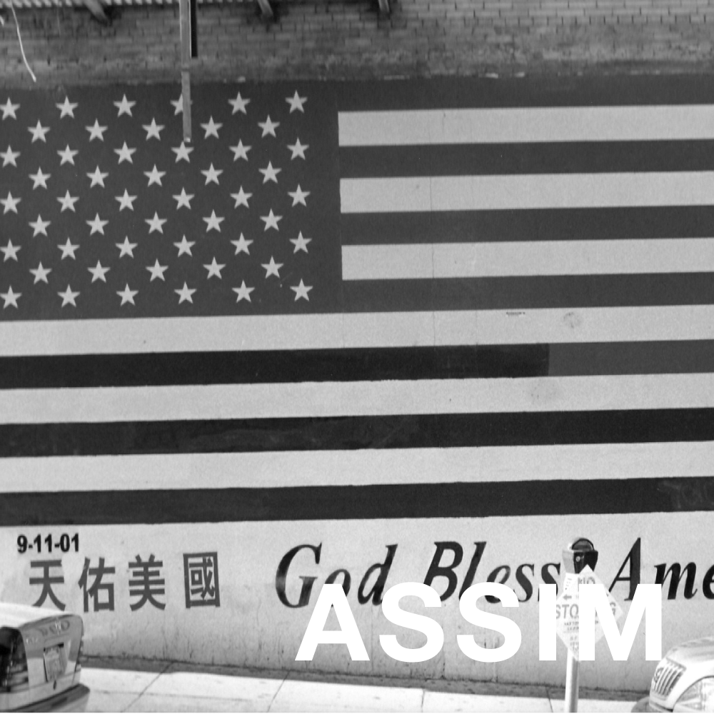 Assimilation